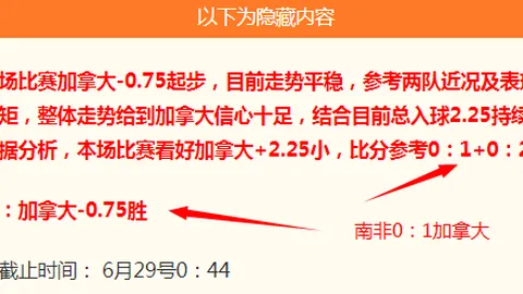 国际足联2026世界杯投注平台 100328